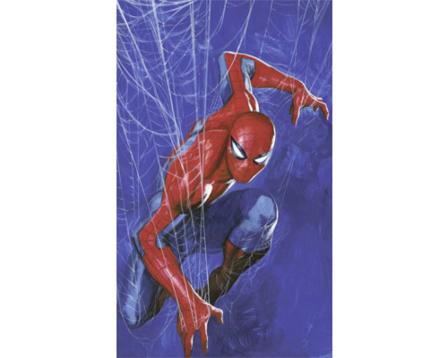 Illustration de Spider-Man devant une toile d''araignée