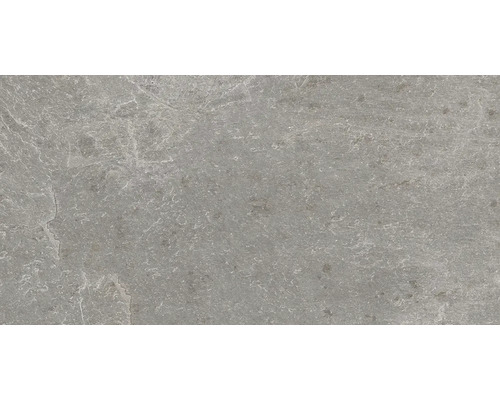 Feinsteinzeug Wand- und Bodenfliese Cool Stone grau matt BxLxS 29.8x59.8x0.9 cm Feinsteinzeug Wand- und Bodenfliese Cool Stone grau matt BxLxS 29.8x59.8x0.9 cm