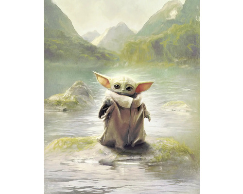 Peinture de Bébé Yoda sur un rocher dans l''eau devant un paysage de montagne.