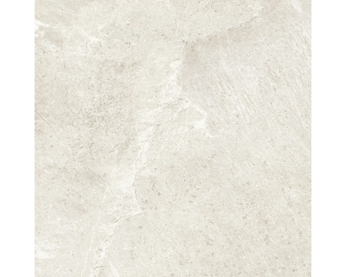Feinsteinzeug Wand- und Bodenfliese Cool Stone weiss matt BxLxS 59.8x59.8x0.9 cm Feinsteinzeug Wand- und Bodenfliese Cool Stone weiss matt BxLxS 59.8x59.8x0.9 cm