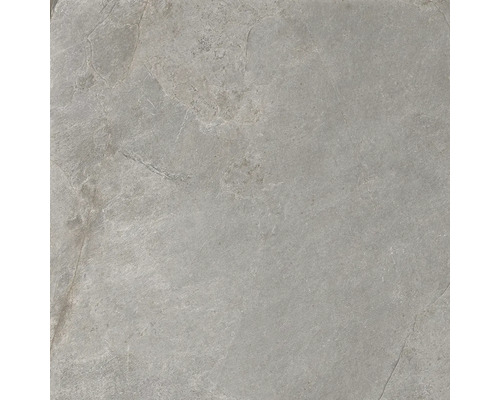 Feinsteinzeug Wand- und Bodenfliese Cool Stone grau matt BxLxS 59.8x59.8x0.9 cm Feinsteinzeug Wand- und Bodenfliese Cool Stone grau matt BxLxS 59.8x59.8x0.9 cm