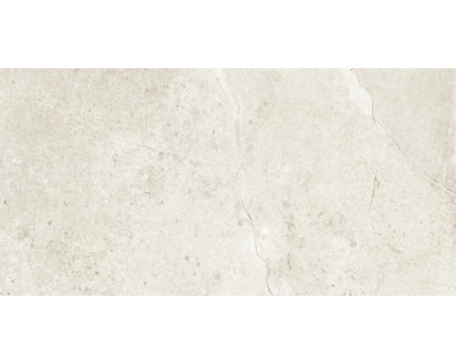 Feinsteinzeug Wand- und Bodenfliese Cool Stone weiss matt BxLxS 59.8x119.8x0.9 cm Feinsteinzeug Wand- und Bodenfliese Cool Stone weiss matt BxLxS 59.8x119.8x0.9 cm