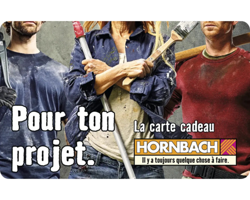 Personnes avec outils et peintures, Chèque-cadeau Hornbach