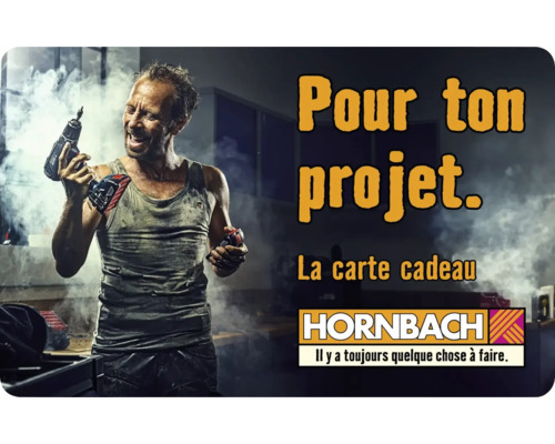 Artisan avec tournevis sans fil pour votre projet. Logo Hornbach
