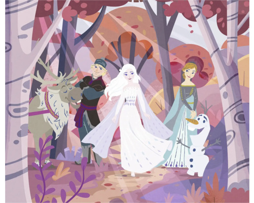 Illustration avec des personnages du film La Reine des Neiges dans une forêt