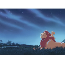 Illustration représentant un lion couché et un lionceau sous un ciel étoilé