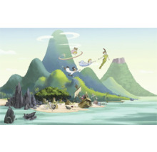 Illustration de Peter Pan et ses amis survolant le Pays imaginaire