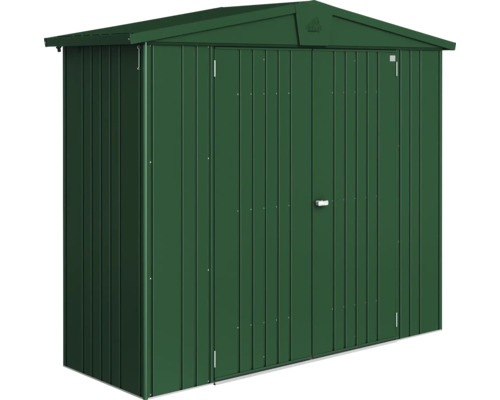 Abri de jardin métallique avec double porte