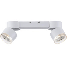 Zwei weiße LED-Strahler an einer Leuchte