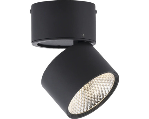 Deckenleuchte aus Metall, schwenkbar