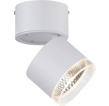 Weisse Deckenleuchte mit verstellbarem Spot