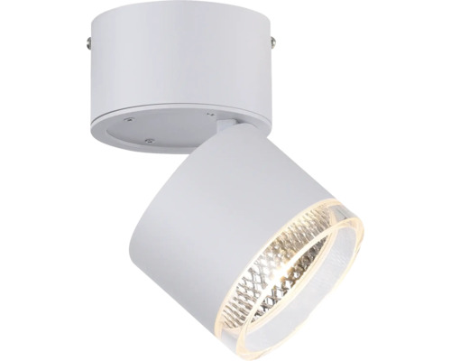 Weisse Deckenleuchte mit verstellbarem Spot