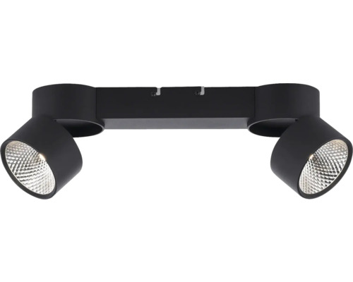 Schwarze Deckenleuchte mit zwei Strahlern für den Innenbereich