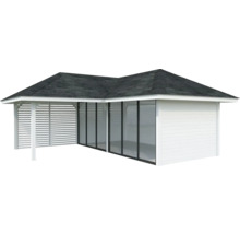 Abri de jardin en bois avec façade en verre et toit