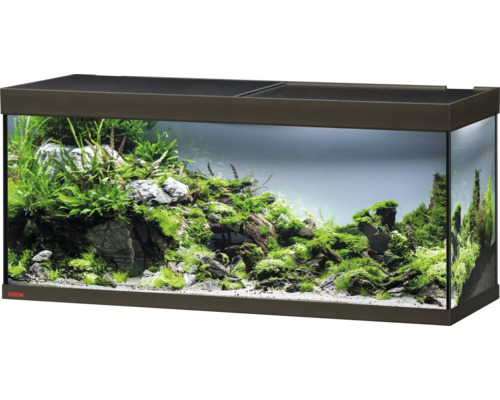 Aquarium EHEIM Vivaline 240 mit LED-Beleuchtung, Heizer, Filter ohne Unterschrank bonze Eingerichtetes Aquarium mit Pflanzen, Steinen und Dekoration