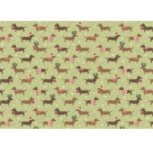 Motif avec des teckels portant des bonnets de Noël, des écharpes, des pulls et des bois
