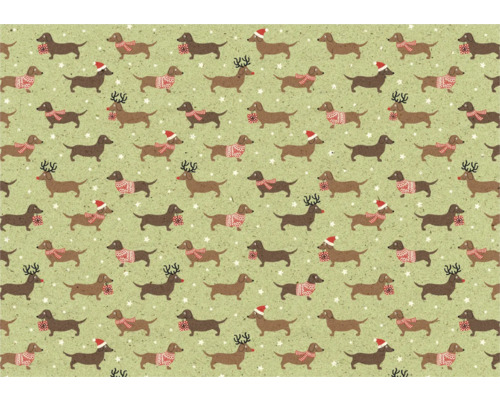 Papier cadeau Gras by Nature 150 cm x 70 cm Teckel Motif avec des teckels portant des bonnets de Noël, des écharpes, des pulls et des bois