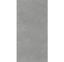 Carreau en grès cérame gris avec surface mate