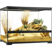 Terrarium avec plantes et décoration