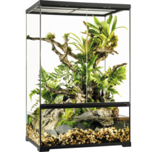 Terrarium en verre avec plantes, bois et eau pour reptiles et amphibiens
