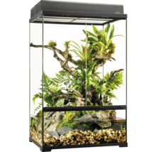 Terrarium aménagé avec plantes et zone aquatique