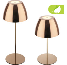 Zwei bronzefarbene Tischleuchten mit rundem Sockel und Energiesparsymbol