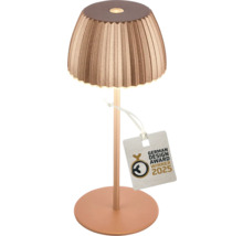 Tischleuchte mit Lampenschirm und German Design Award Winner 2025 Siegel