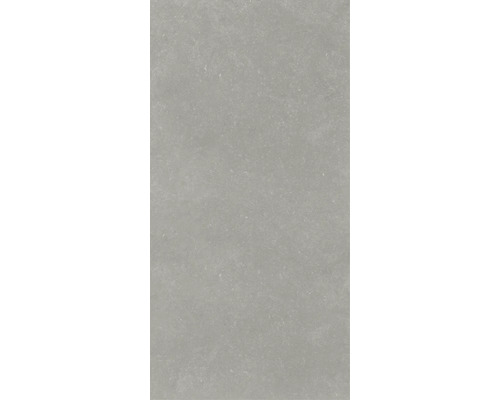 Dalle de terrasse en grès cérame fin FLAIRSTONE Skyfall beige bord rectifié 120x60x2 cm Carreau de sol gris avec surface mate