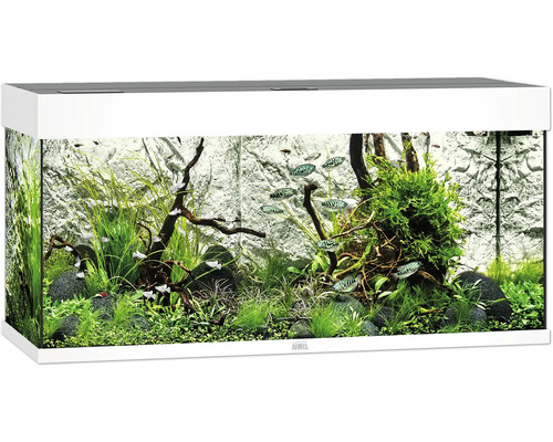 Aquarium JUWEL Rio 180 avec éclairage à LED, pompe, filtre, chauffage sans meuble bas blanc Aquarium JUWEL Rio 180 avec éclairage à LED, pompe, filtre, chauffage sans meuble bas blanc