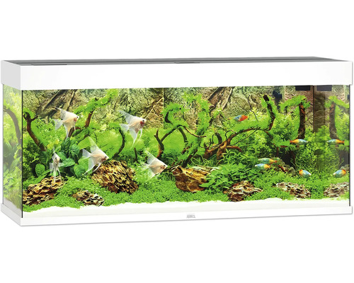 Aquarium Juwel Rio 240 LED ohne Unterschrank weiss