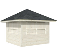 Abri de jardin en bois avec toit pointu