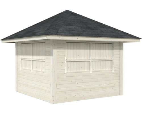 Abri de jardin en bois avec toit pointu