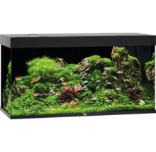 Aquarium Juwel Rio 240 LED ohne Unterschrank helles Holz