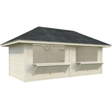 Abri de jardin avec fenêtres de distribution et carton bitumé