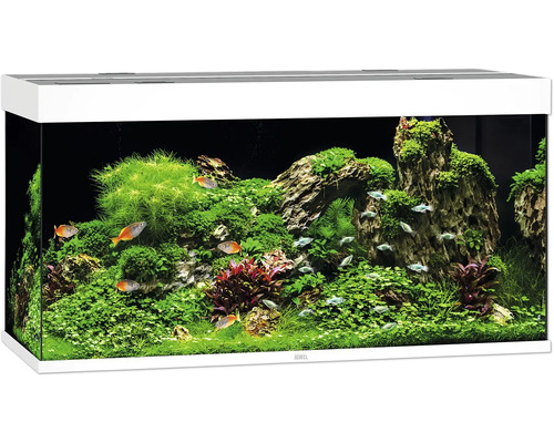 Aquarium Juwel Rio 350 LED sans meuble bas blanc