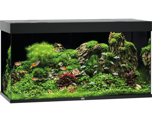 Aquarium Juwel Rio 350 LED ohne Unterschrank schwarz