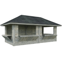 Abri de jardin en bois avec toit et fenêtres à battants