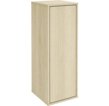 Hochschrank mit einer Tür