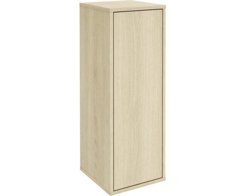 Hochschrank mit einer Tür