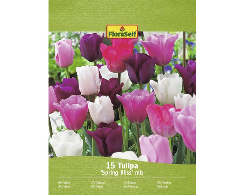 FloraSelf Tulipes Spring Bliss Mix, paquet de 15 pièces