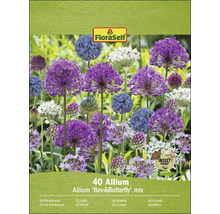 FloraSelf 40 Allium Mélange Abeille et Papillon Emballage