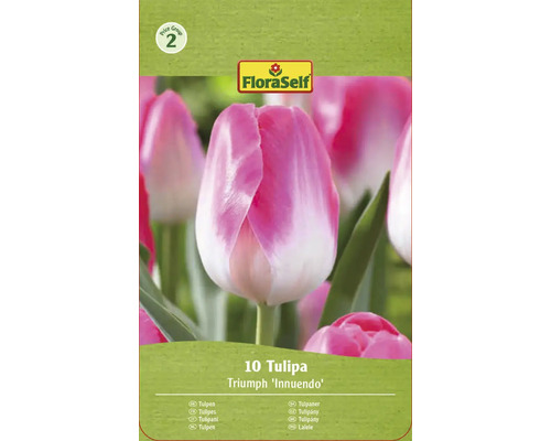 Paquet de tulipes Triumph de la variété Innuendo avec dix pièces
