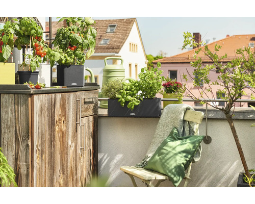 Scène de balcon avec des plantes en pot, des herbes aromatiques, un arrosoir et des éléments en bois