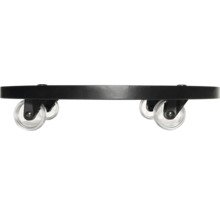 Pflanzenroller mit transparenten Rollen