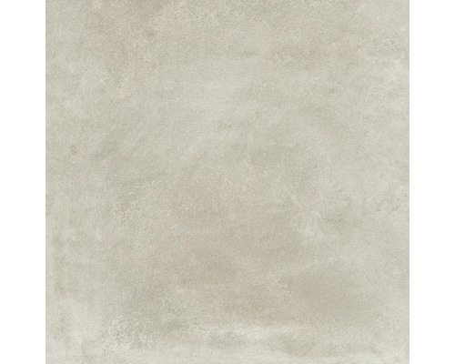 Carrelage sol et mur en grès cérame fin Varese tortora Lxlxe 60x60x0.95 cm Carrelage sol et mur en grès cérame fin Varese tortora Lxlxe 60x60x0.95 cm