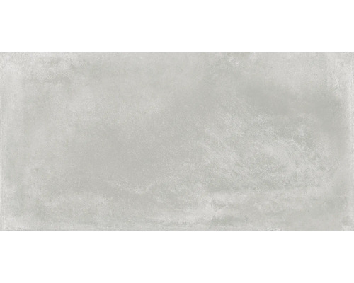 Feinsteinzeug Wand- und Bodenfliese Varese ash BxLxS 60x120x1.05 cm Feinsteinzeug Wand- und Bodenfliese Varese ash BxLxS 60x120x1.05 cm