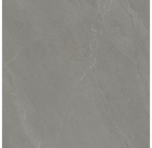 Graue Feinsteinzeugfliese mit Steinoptik