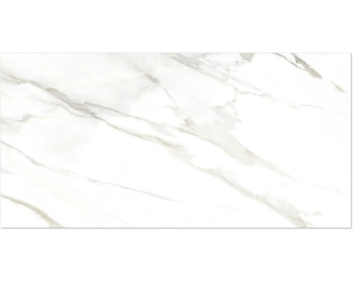 Feinsteinzeug Wand- und Bodenfliese Wandfliese CAVE Grey matt 60,5 cm x 121 cm x 0,9 cm rektifiziert Feinsteinzeug Wand- und Bodenfliese Wandfliese CAVE Grey matt 60,5 cm x 121 cm x 0,9 cm rektifiziert