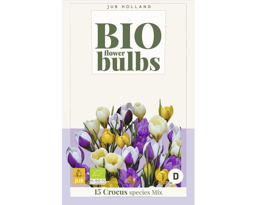Paquet d''un mélange de 15 espèces de crocus biologiques