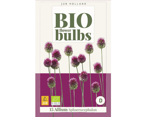 Emballage bulbes de fleurs biologiques Allium Sphaerocephalon